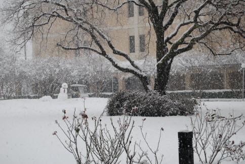 Image of snow outside library Feb 2010